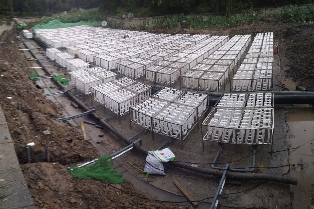 �����������԰��ˮ������Ŀ