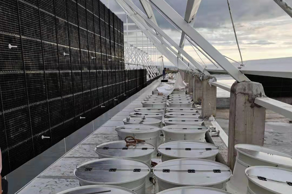 ��ԭ���ų�����Ŀ